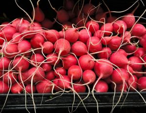 A photo of a huge pile of radishes with their roots still attached.