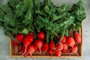 A top-down photo of about two dozen red radishes with their leafy tops still on, resting on a wooden tray.